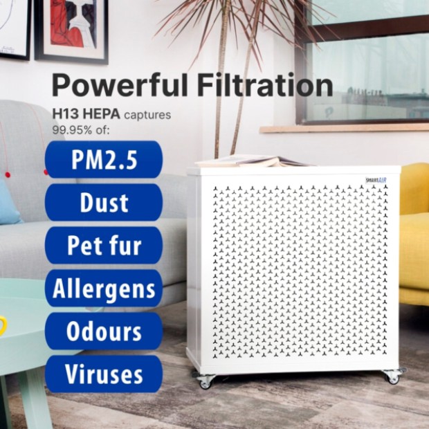 Air Purifier (HEPA Filter)